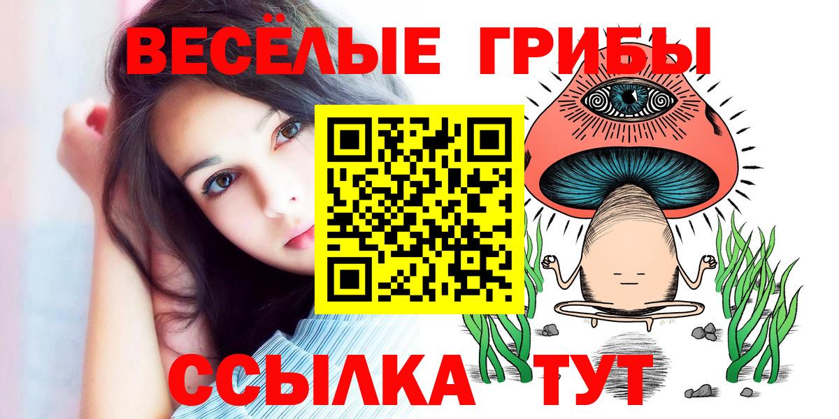 Ессентуки  Псилоцибиновые грибы GOLDEN TEACHER  Вход с VPN  Псилоцибиновые грибы ЛСД 