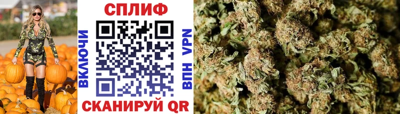 hydra рабочий сайт  Ессентуки  мориарти телеграм  Канабис индика 